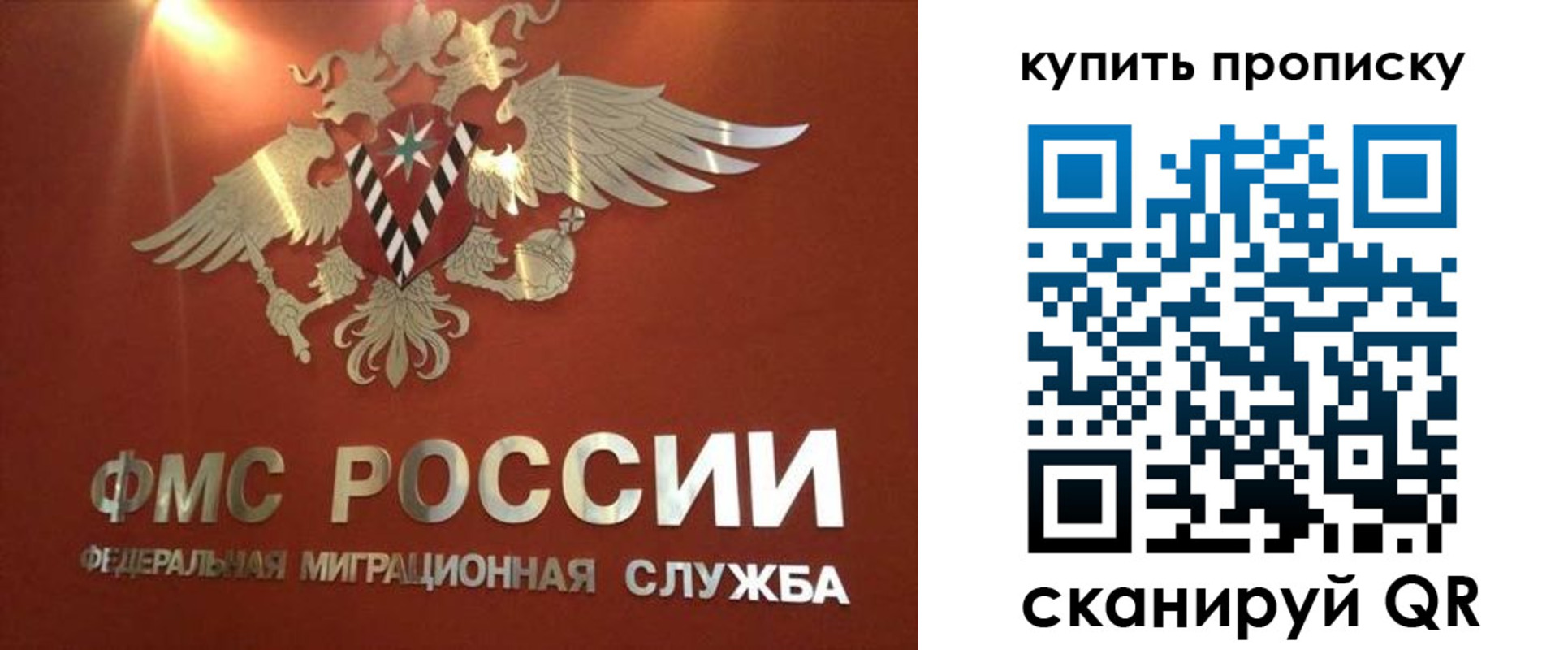 прописка для работы в Светлом